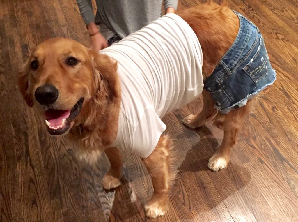 Allen's online dating profile