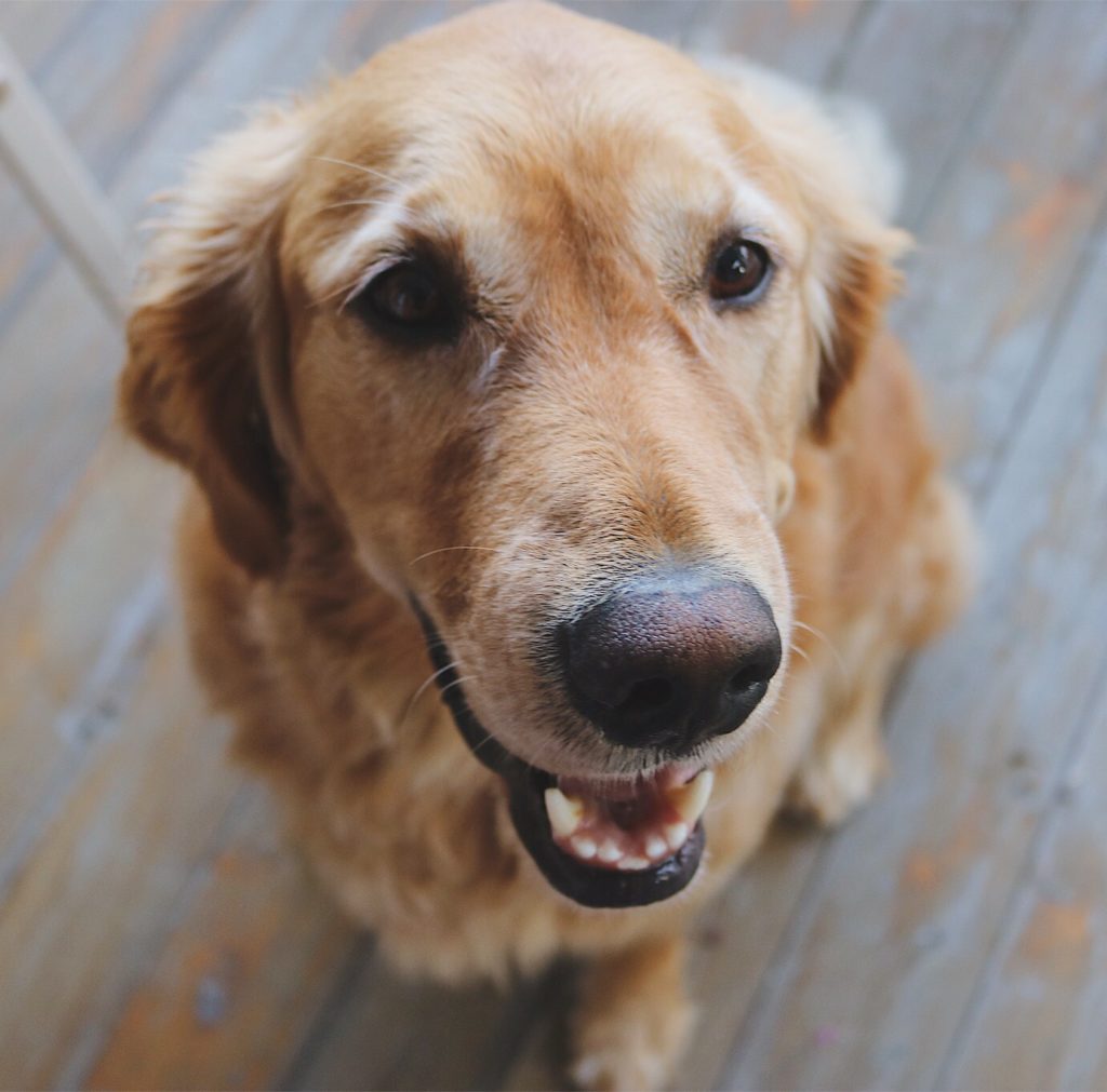 Allen-Saying goodbye to toronto