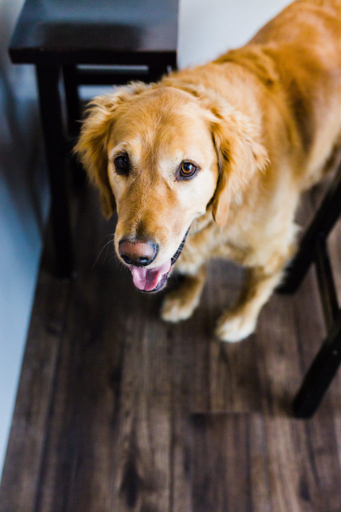 Today I'm sharing something that is very personal to me - my fertility story. I was diagnosed with Hypothalamic Amenorrhea as well as a Septate uterus which have both significantly impacted my ability to conceive. I want start talking about fertility more openly to end the stigma associated with infertility.