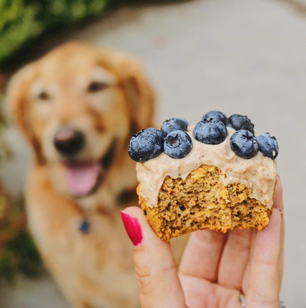 These carrot cake muffins are healthy, gluten-free and vegan! The recipe uses oat flour but there is also an option to make them low carb and keto-friendly.